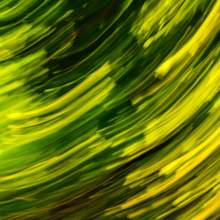 Green yellow abstract nature background of blured lines.の写真素材