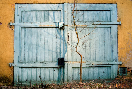 Blue old wooden garage gate and small tree.の写真素材