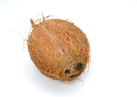 Whole hairy coconut isolated on white background.