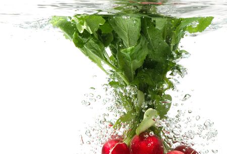 Bunch of radishes falling into water, white background isolated.の写真素材