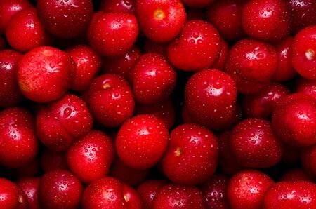 Fresh dewy cherries as lovely natural pattern.の写真素材