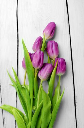 Bouguet of tulips lying on white wooden surface as a colorful natural background.の写真素材