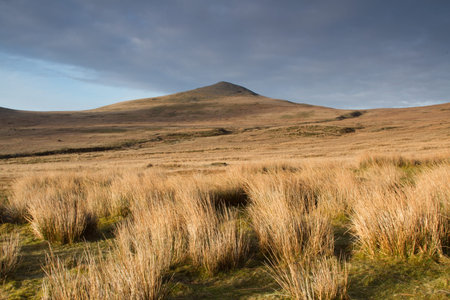 Dried grass tufts on moorland leads to the mountain peak in the distance with a cloudy sky.