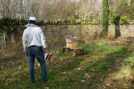 A man in protective clothing with smoker in hand looks  towards a hive on a stand.