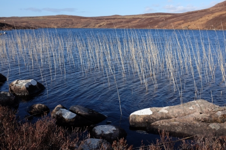 A lake environment with lichen covered rocks on the near shore leading to dried water grasses and moorland beyond.の写真素材