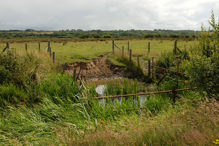 An area of river fenced off as a watering hole next to a field of green grass.の写真素材