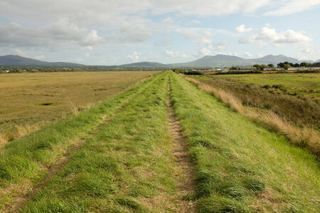 Lush green grass and a track on a dyke running through marshland with a blue cloudy sky and mountains in the distance.の写真素材