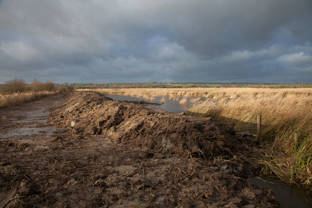 Weland flood prevention project with earth moved to form a dyke on the edge of a waterway with reeds against a dark cloudy sky.の写真素材
