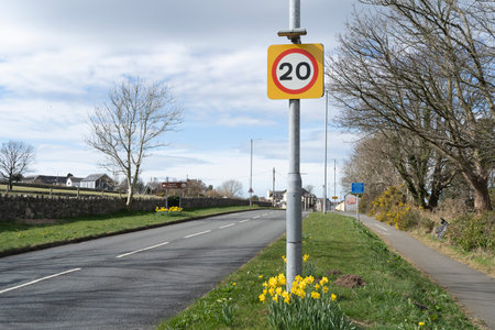 A 20 mile an hour speed limit sign on a country road with yellow daffodils in Wales, UKの写真素材
