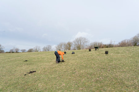 A female farmer in a orange top working on a grassy field in the countryside in winterの写真素材