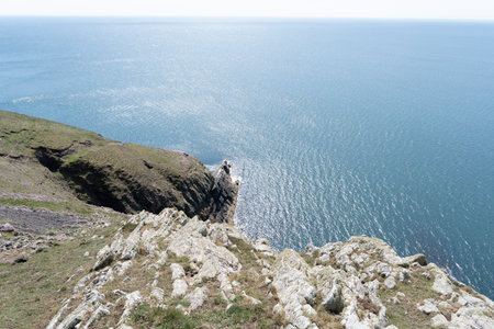 Cormorant Point, UK landmark, viewed from the sea cliffs at Cilan Head, Wales, UK with a calm blue sea stretching to the horizon on a sunny dayの写真素材
