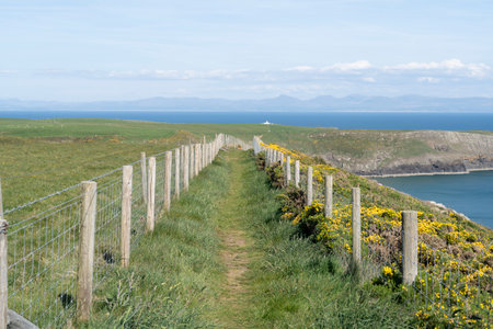 Welsh coast path lined with fences at Porth Ceiriad, Lleyn Peninsular, Wales, UK, with views across the sea to mountains on the horizon.の写真素材