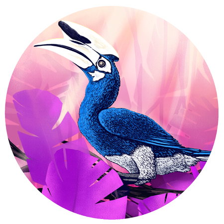 Hornbill Bird. Illustration of a Hornbill bird in a tropical forrest.の写真素材