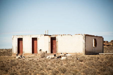 Old farm house in the Karoo region of South Africa.