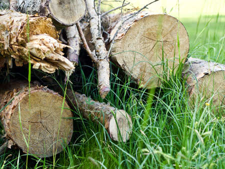 pile of wooden blocksの写真素材