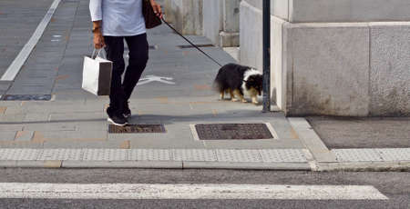 A woman is going for a walk with her dogの写真素材