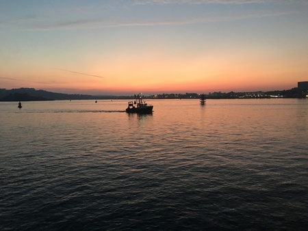 Boats in Plymouth at sunsetの素材