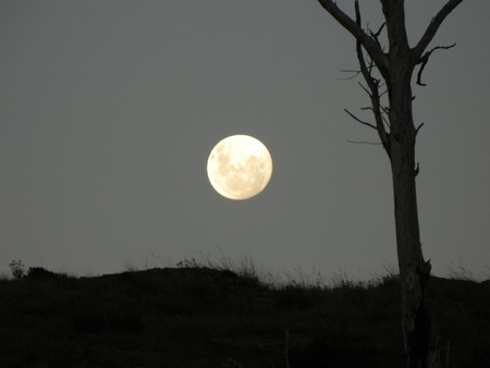 African moon risingの写真素材