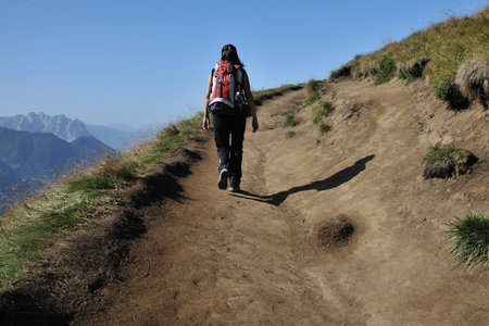 to the topの写真素材