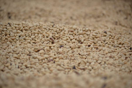 coffeの写真素材