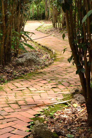 pavers pathの写真素材