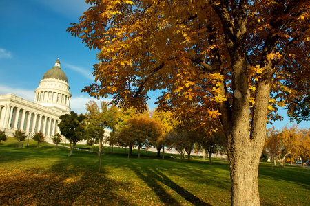 State Capitol in Autumn