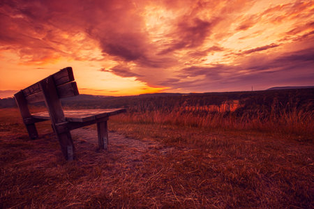 Bank sunset