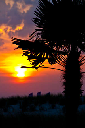 Sunsetの写真素材