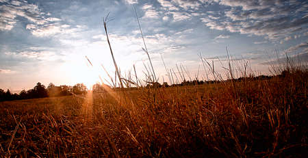 Sunriseの写真素材