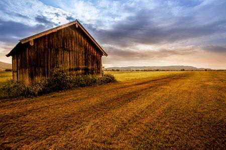 Fieldの写真素材
