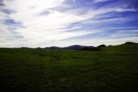 Meadowの写真素材