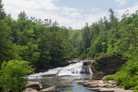 Swallow Falls State Park, Marylandの写真素材