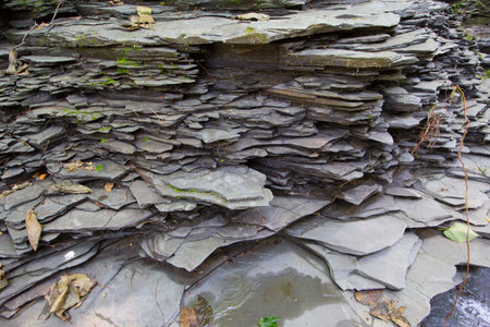 Scenes at Robert E Treman State Park, New York