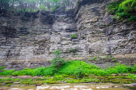 Watkins Glen State Park