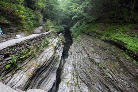Watkins Glen State Park