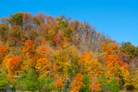 Views of Southern Indianaの写真素材