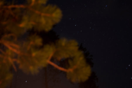 Night Skies Over the Michigan Countryside