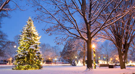 Lighted Christmas Tree, Worthington, Ohioの写真素材