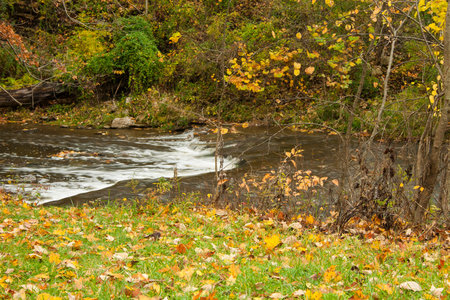 Rocky Fork Creek in Autumn, Gahanna, Ohioの写真素材