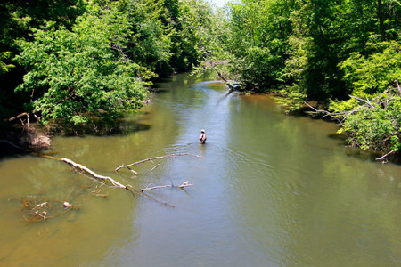 Views of Mohican State Park, Ohio