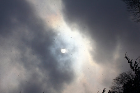 Gloomy Winter Sky with Fog or Clouds