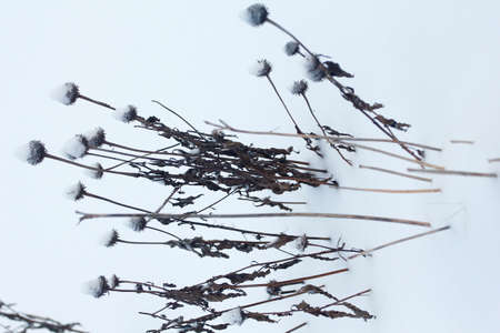 Various Winter Scenes Outdoors, Ohioの写真素材