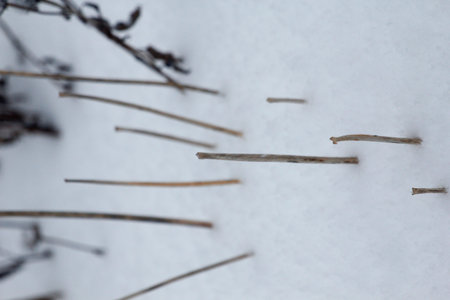 Various Winter Scenes Outdoors, Ohio