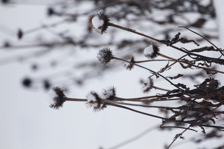 Various Winter Scenes Outdoors, Ohio