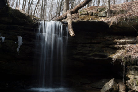 Beach City Wildlife Area, Dundee, Ohio