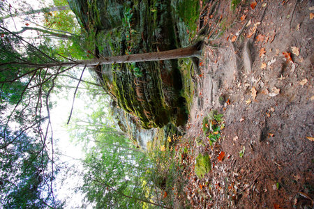 Cantwell Cliffs, Hocking Hills State Park, Ohioの写真素材