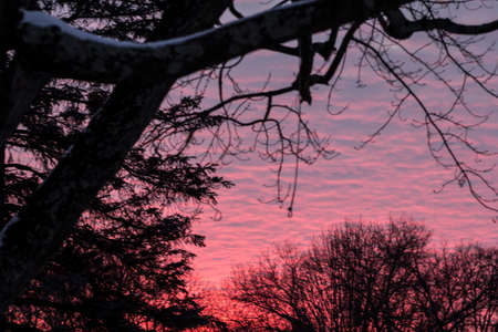 Sunrise or Sunset Skies with Cloudsの写真素材