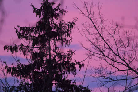 Sunrise or Sunset Skies with Cloudsの写真素材