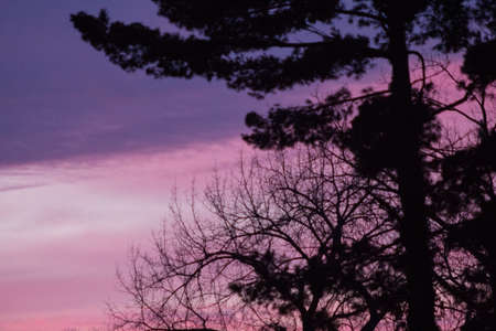 Sunrise or Sunset Skies with Cloudsの写真素材