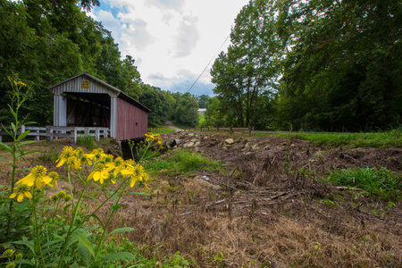Henry Covered Bridge in Southeastern Ohioの写真素材